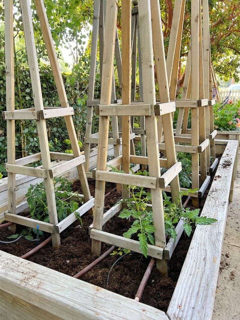Raised Beds And Rows Require Different Spacing Approaches