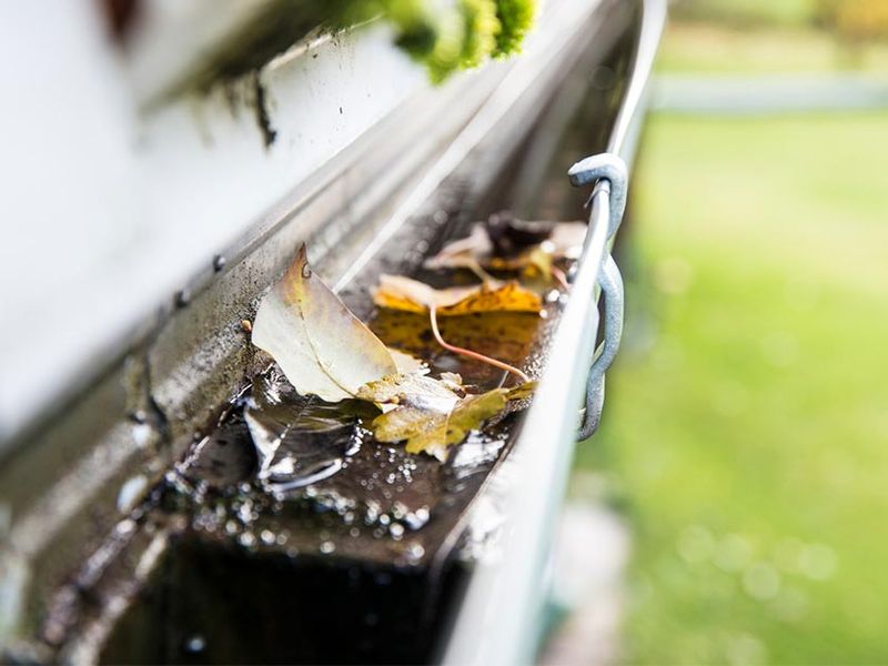 Clogged Gutters Can Breed Mosquitoes Fast