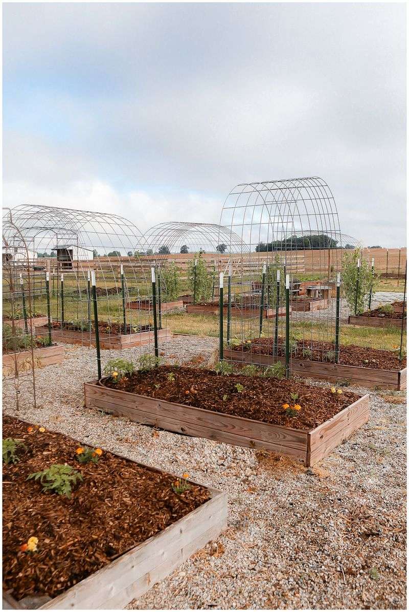 Use Mulch To Retain Moisture And Cool Soil