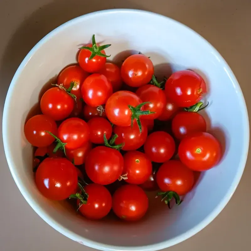 Choose Fast-Producing Cherry Or Plum Varieties In Lower Elevations