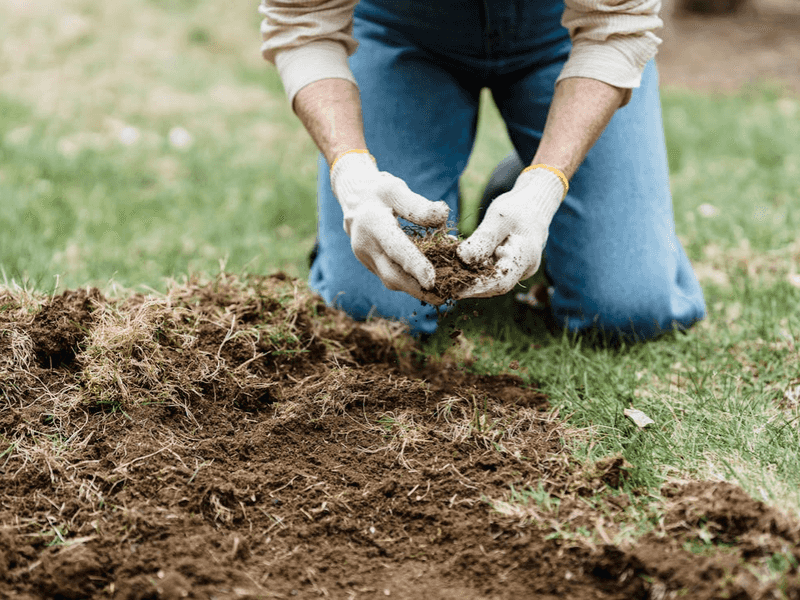 Test And Understand Your Soil Before Planting