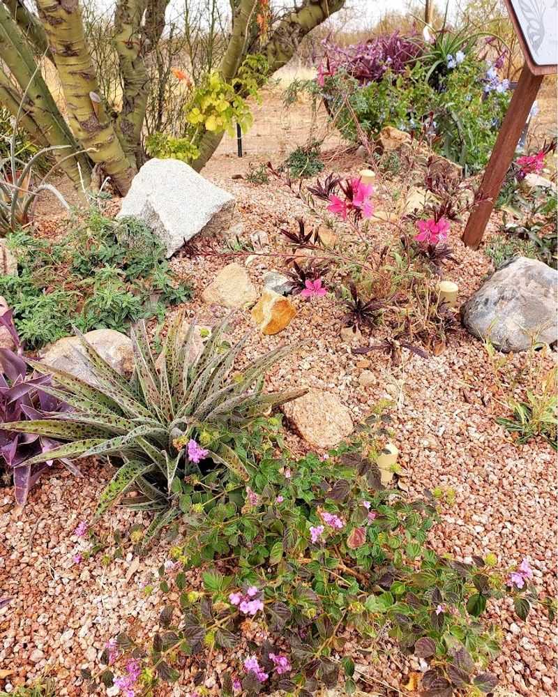 Repeating Deep Soaks Helps Flush Remaining Salts