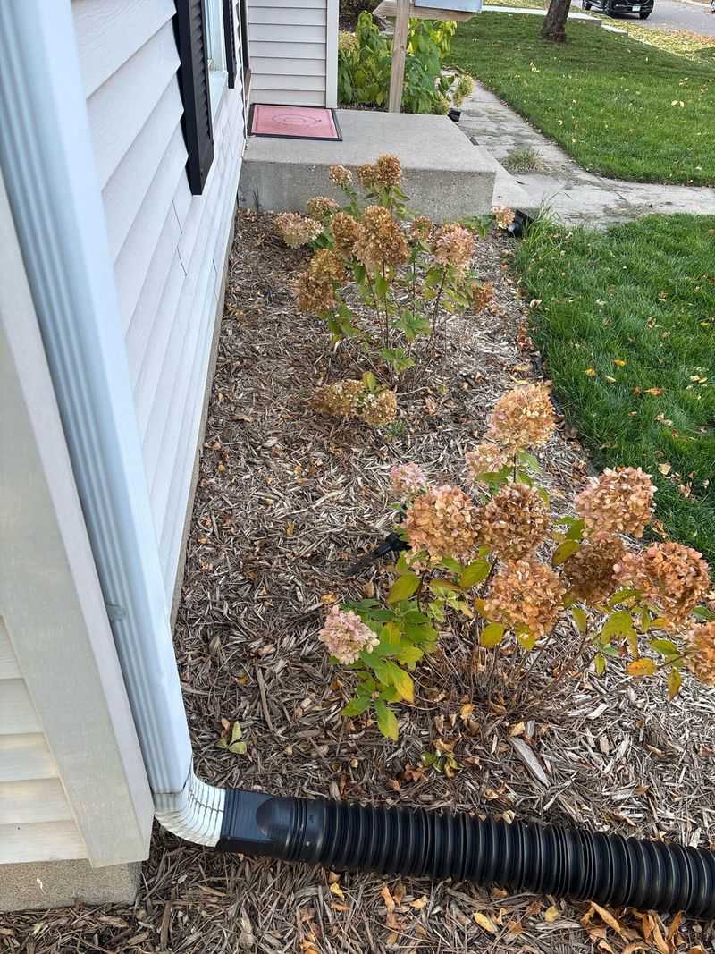 Think Twice Before Planting Too Close To Foundations