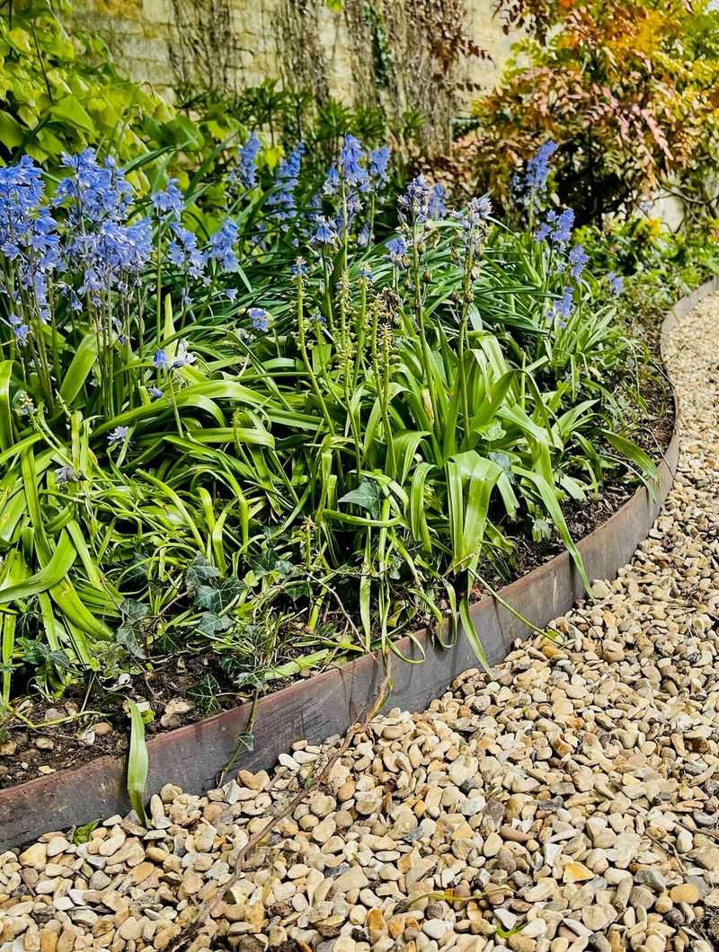 Edge The Area Well So Grass And Creeping Weeds Stay Out