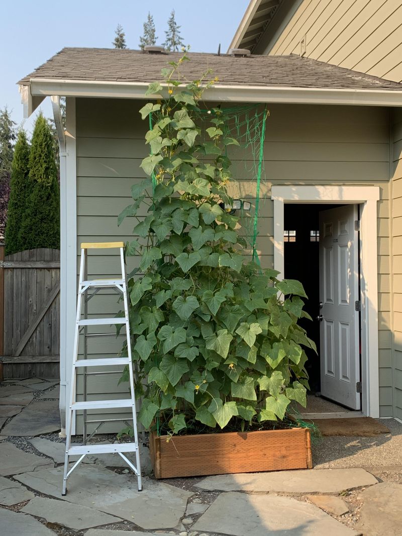 Wall Mounted Setup Uses Vertical Surfaces