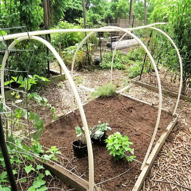 PVC Pipe Trellis Frame Offers A Lightweight, Flexible Option