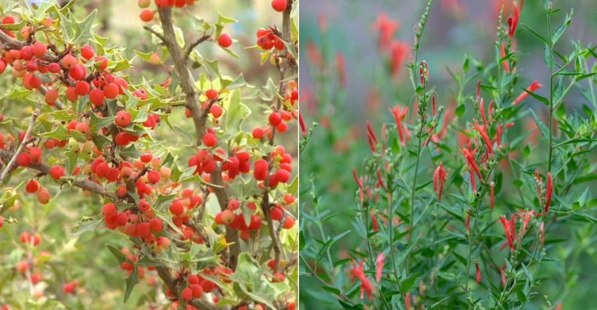 Stunning Native Texas Shrubs To Plant Instead Of Crape Myrtle