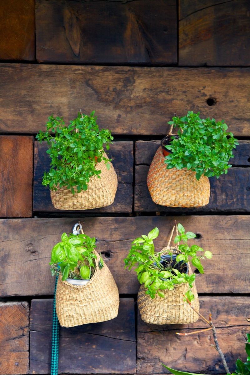 Hanging Herb Basket Keeps Fresh Herbs Close