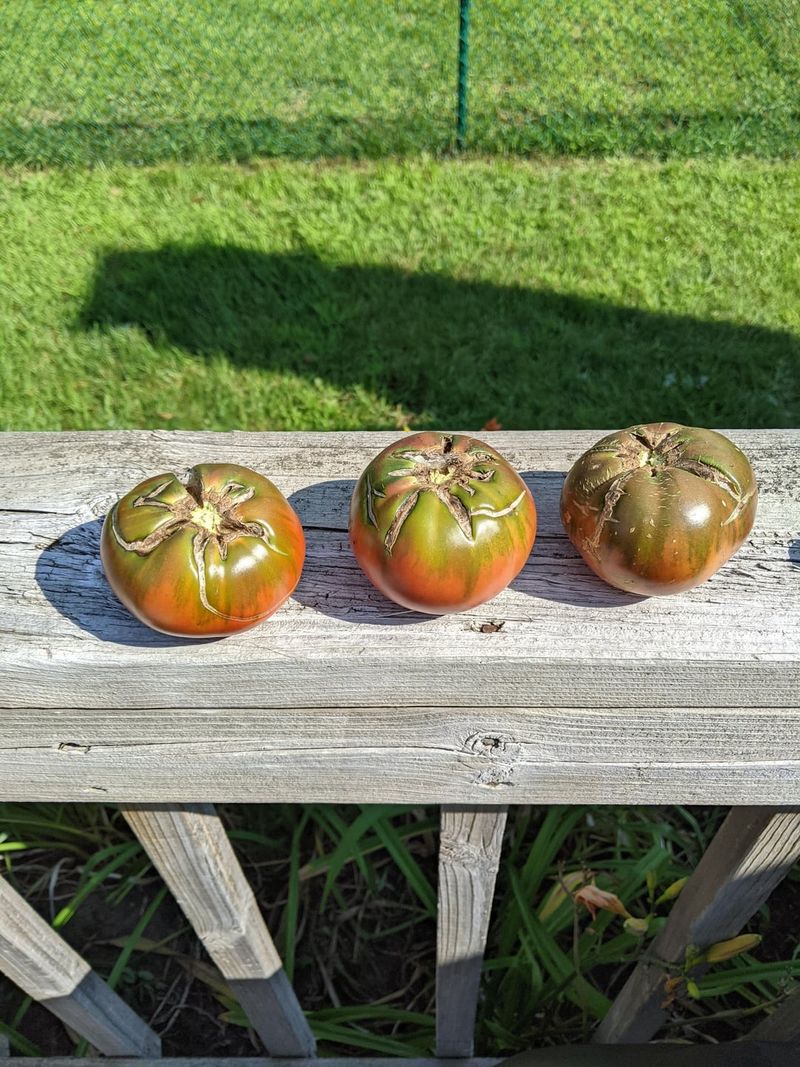 Irregular Moisture Swings Lead To Rapid Fruit Expansion