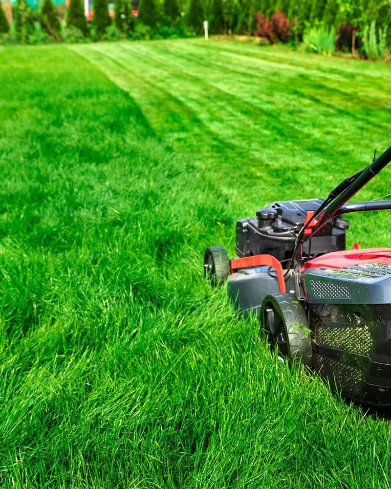 Raise Mowing Height To Reduce Stress On Grass