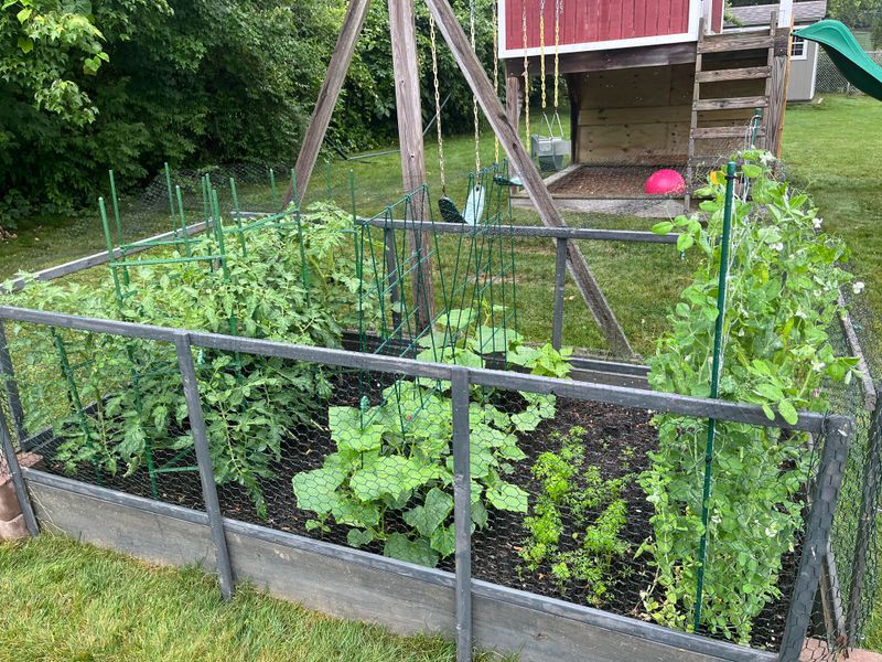 Adjusting Watering Based On Rainfall Changes