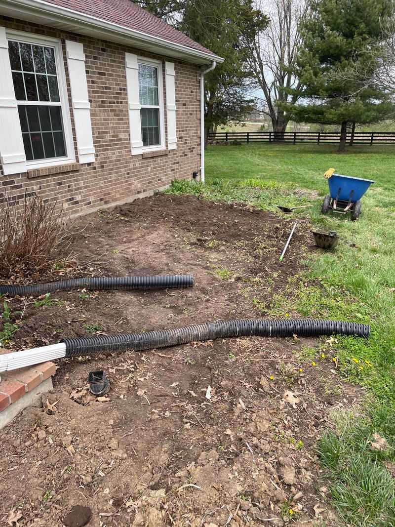 Why You Still Need The Green Light