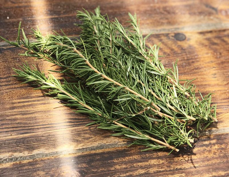 Choose Healthy Non-Flowering Stems