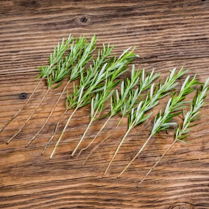 Strip The Bottom Two Inches And Leave Only The Top Leaves