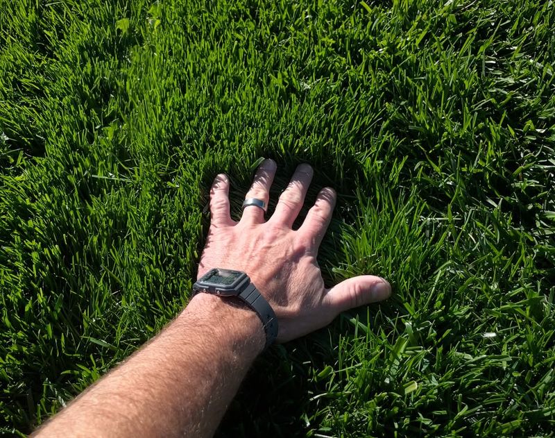 Higher Cutting Keeps Moisture In The Soil Longer