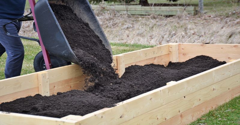 Prepare Garden Beds With Compost And Organic Matter