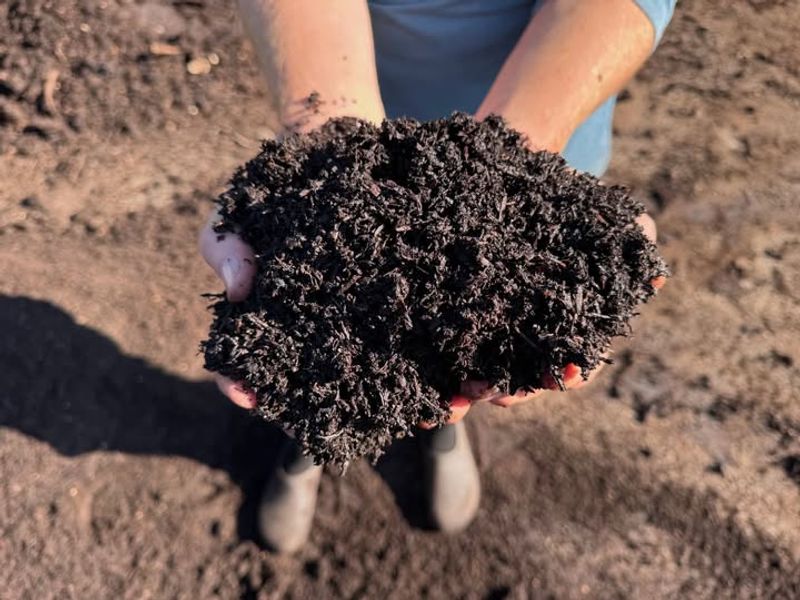 Mix In Finished Compost To Improve Texture And Organic Matter