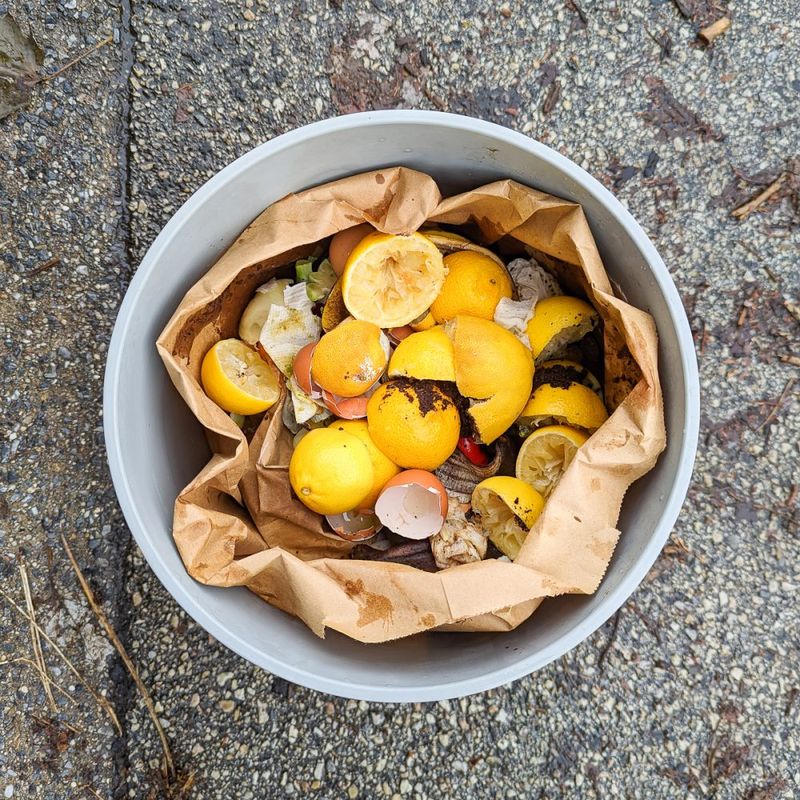 Toss Them Into Compost Instead Of The Trash