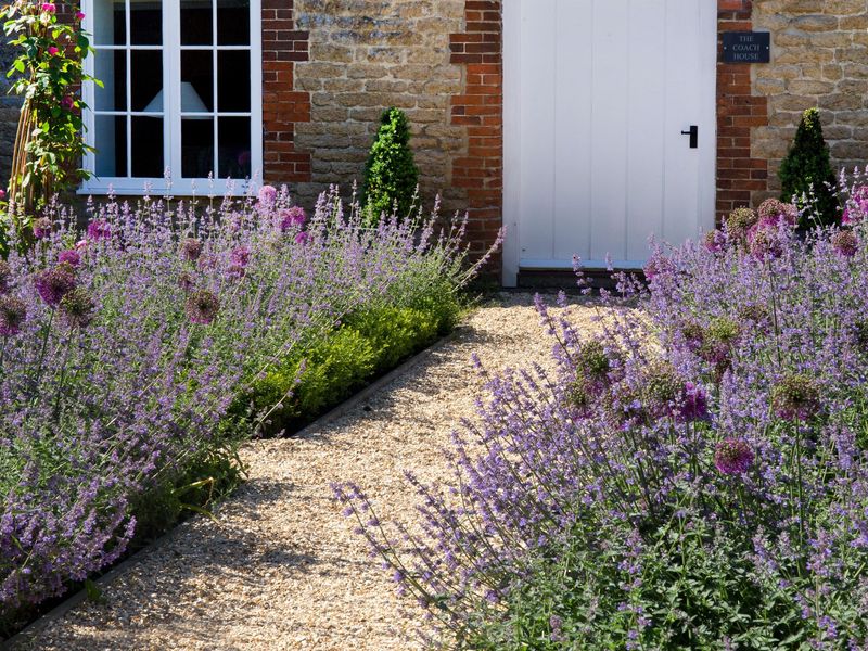 Lavender Brings Strong Scent To High-Traffic Areas