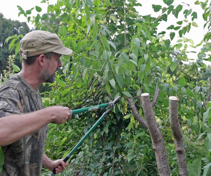 Skip Heavy Pruning At The Wrong Time