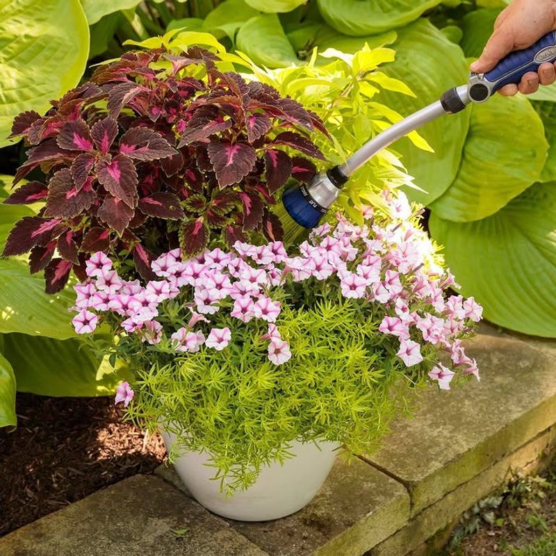 Start With Deep Watering To Build Strong Roots Early