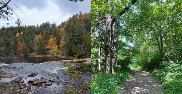 The Best Michigan Road Trip For Exploring Trees And Natural Forests