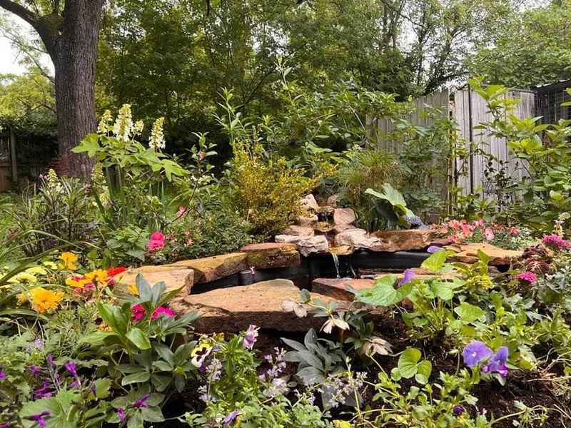 Use Layered Plantings To Create A Natural Screen