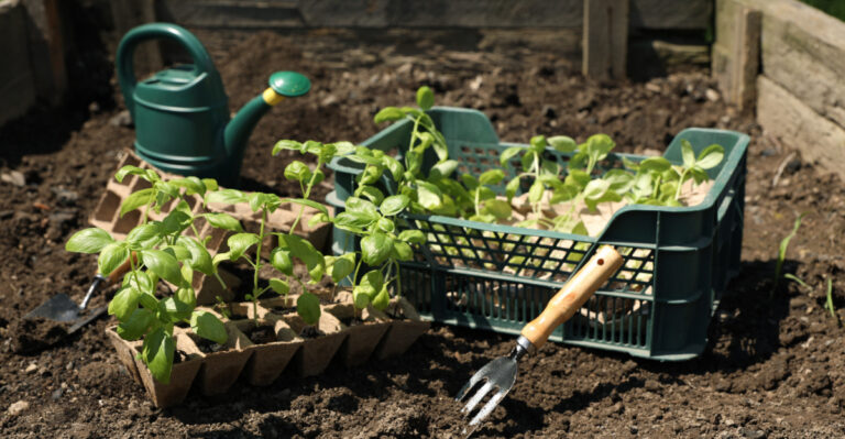 The Biggest Spring Planting Mistakes North Florida Gardeners Make