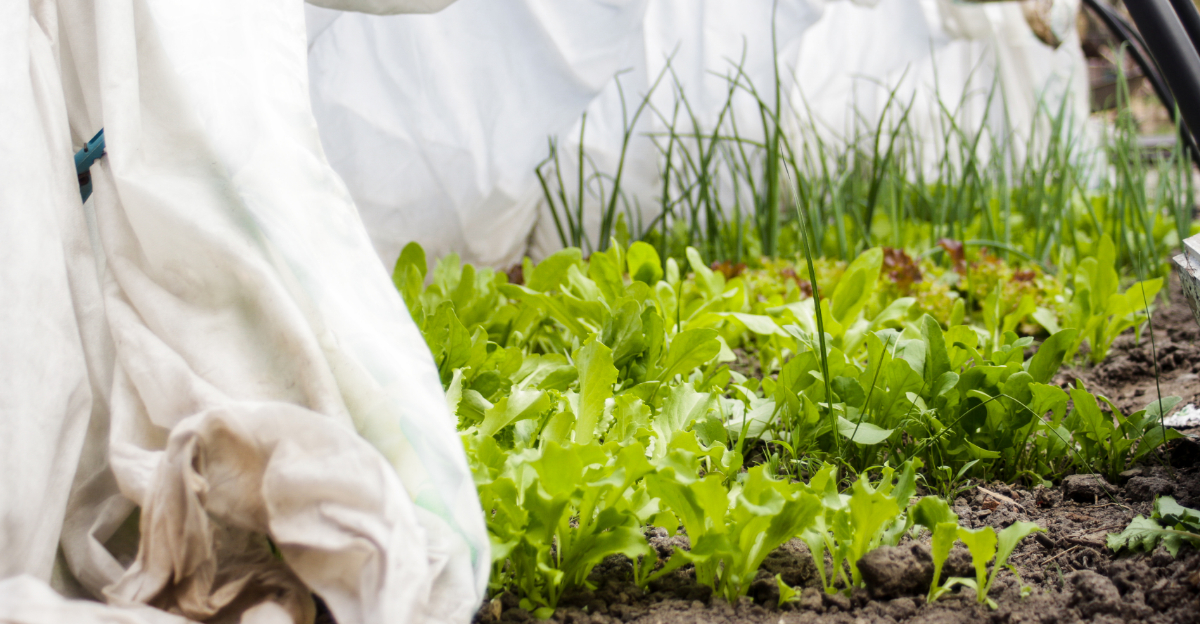 The California Garden Tasks To Finish Before The First Real Heat Wave