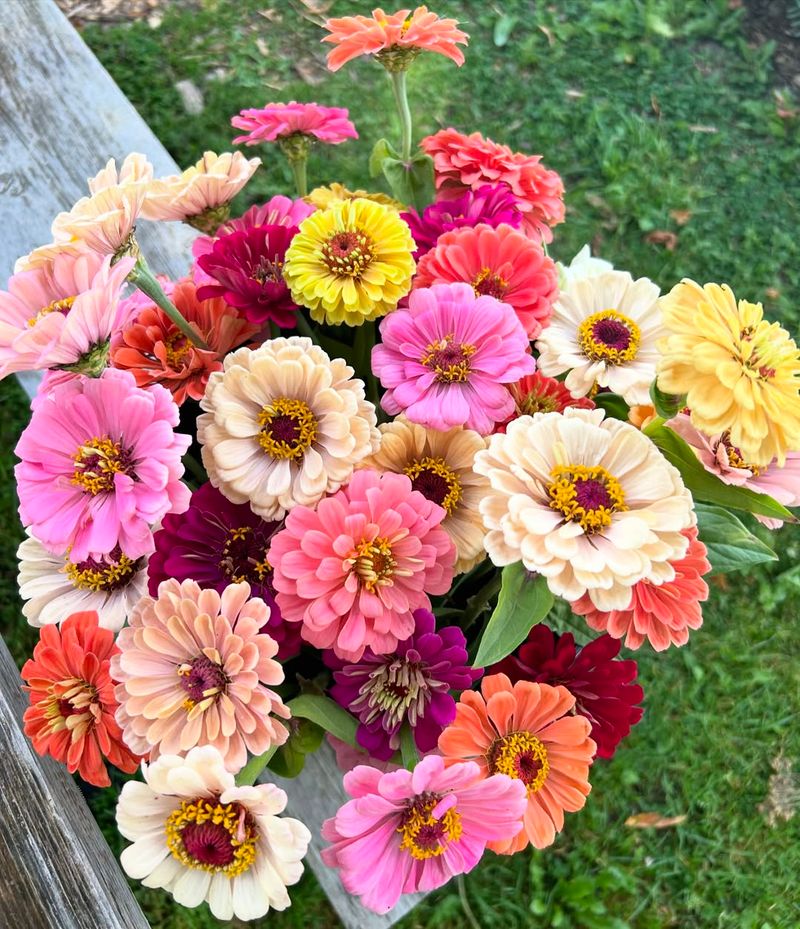 They Bloom Through The Heat