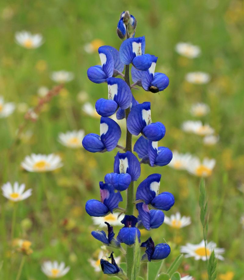 How To Keep Them Coming Back