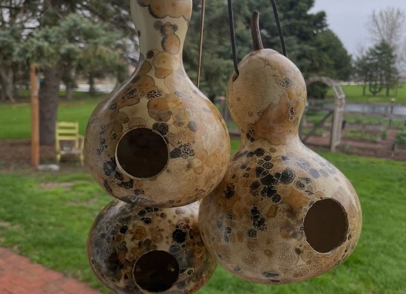 Turn A Gourd Into A Lightweight Birdhouse