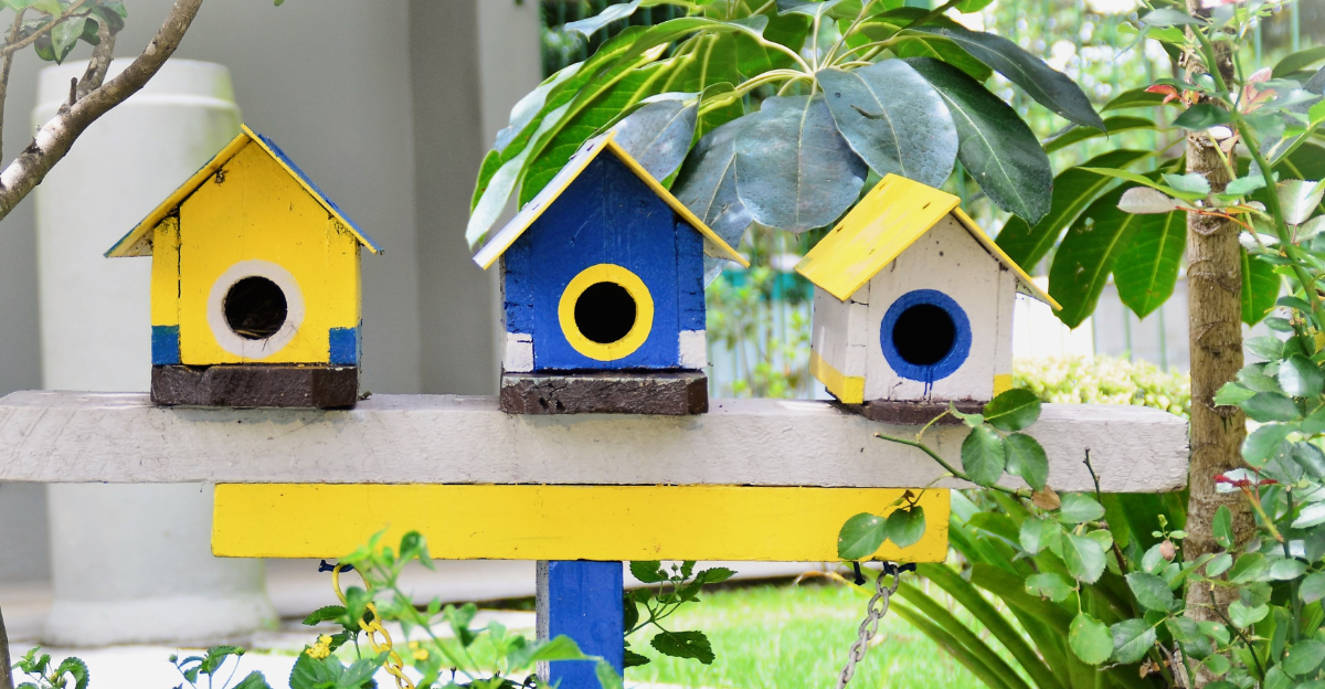 birdhouse (featured image)
