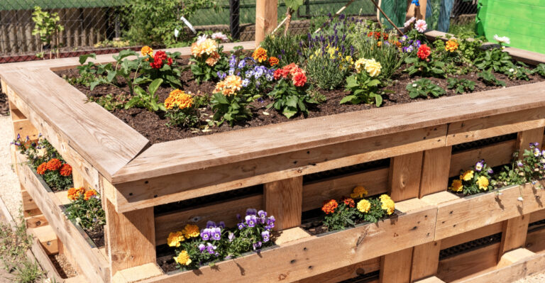 raised bed (featured image)