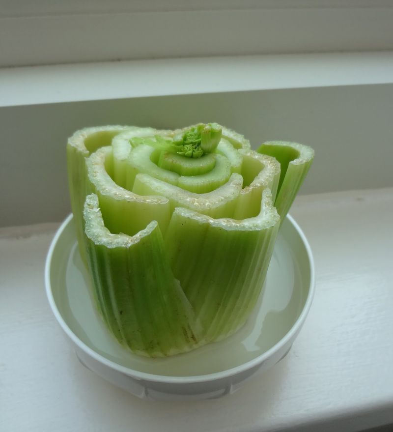 Start With A Healthy Celery Base From The Kitchen
