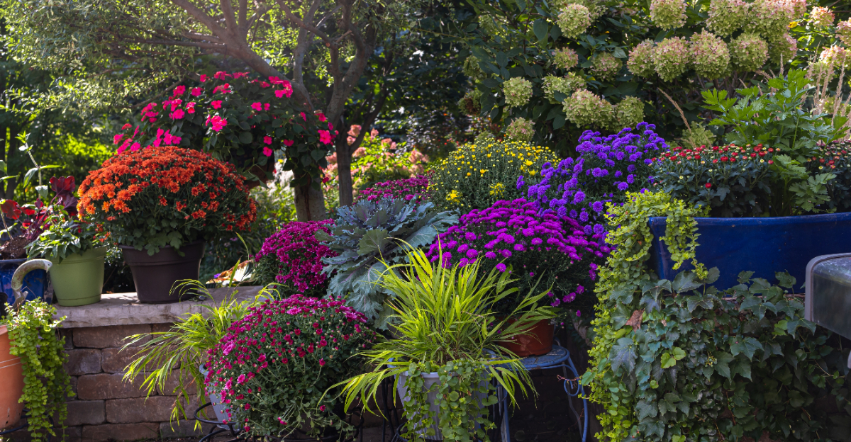 potted garden