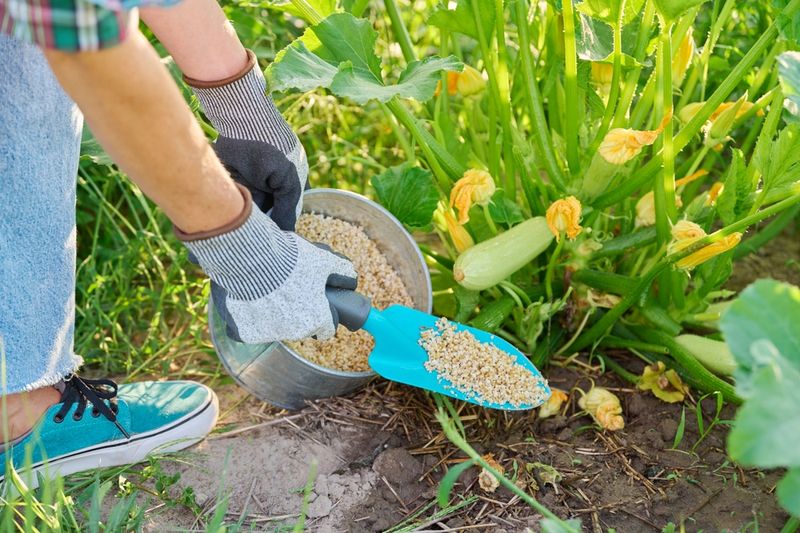 The Common Mistake Most Gardeners Make