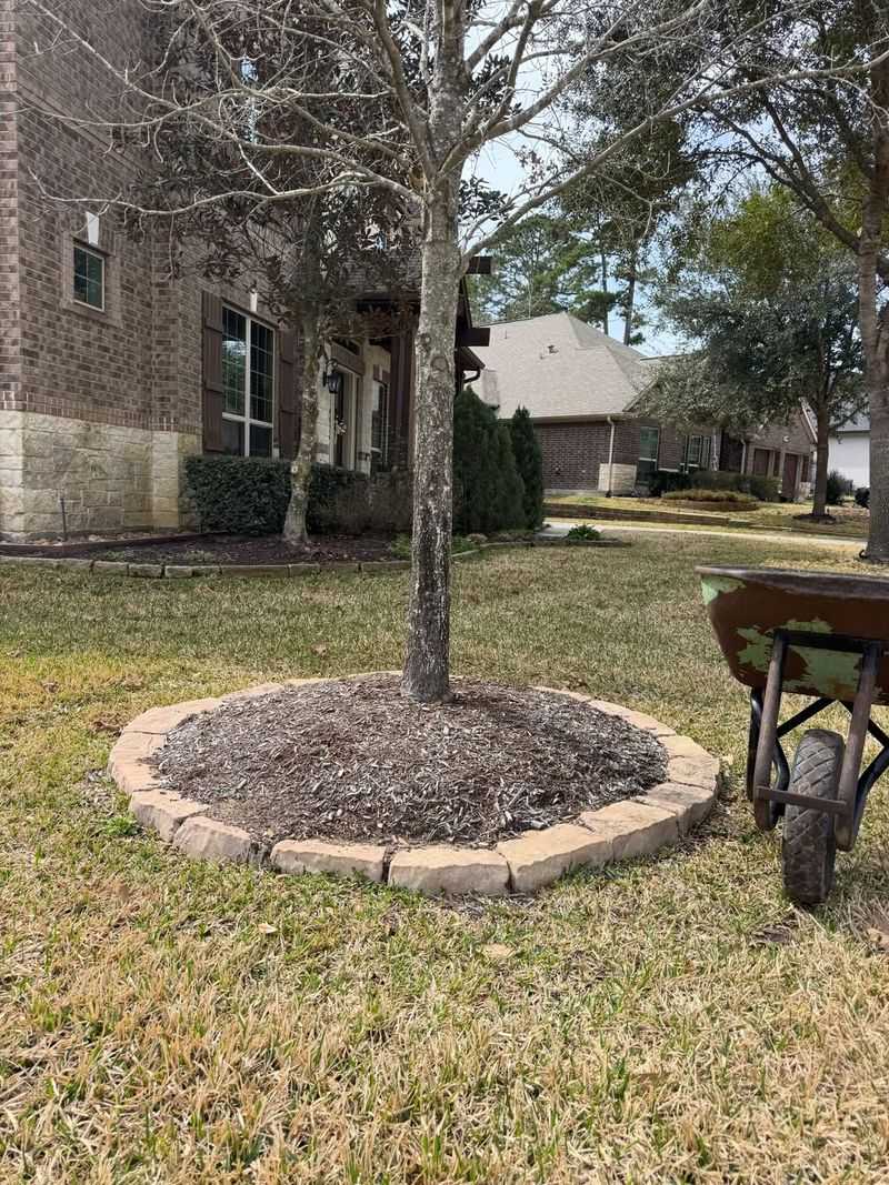 Piling Mulch Against Tree Trunks Like A Volcano