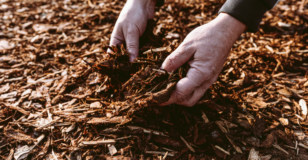 The Front Yard Mistake Many Ohio Gardeners Make Without Realizing It