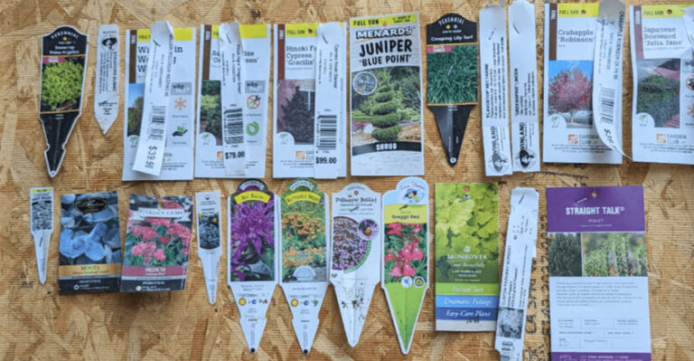 plant labels
