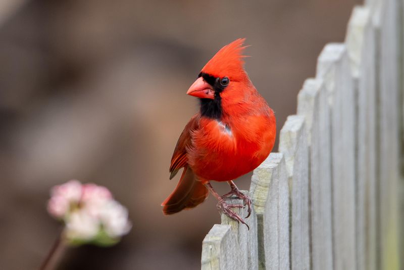 A Sign Of Loved Ones And Lasting Connections