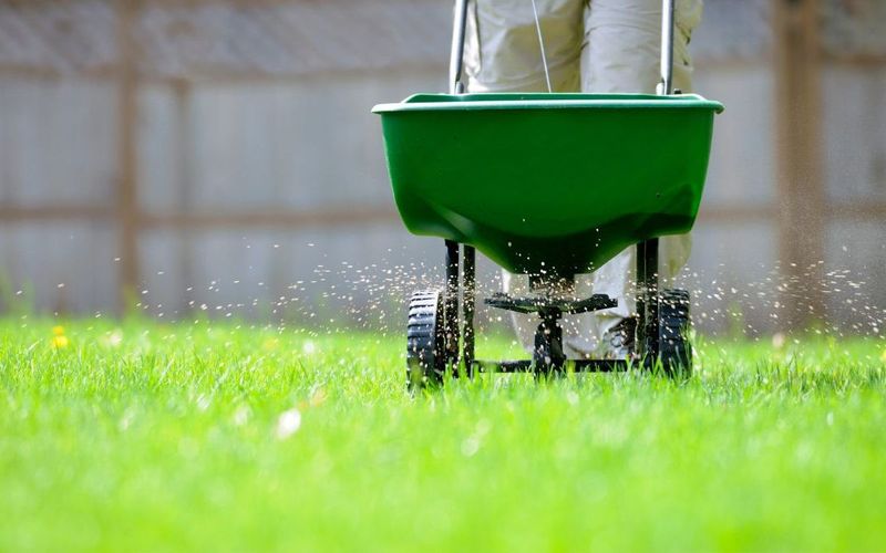 Applying Slow Release Nitrogen Prevents Lawn Thinning