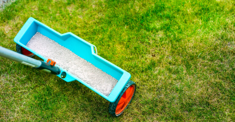 The One Fertilizing Mistake That Shows Up In April In Georgia