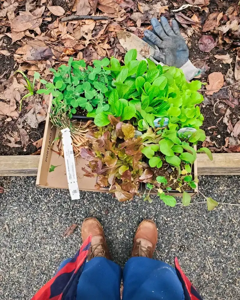 What To Plant In May