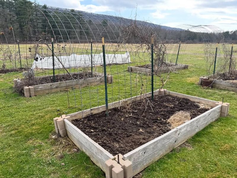 Why May Is A Critical Planting Month In Pennsylvania