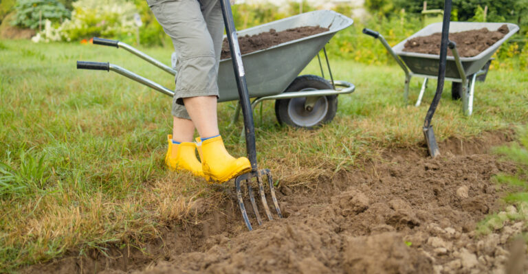 The Smartest Ways To Prep Garden Beds In California Right Now