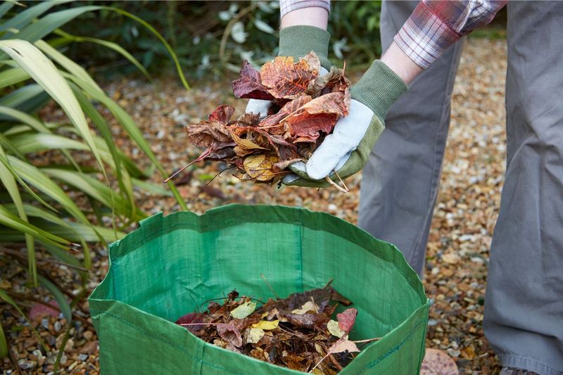 Clear Out Winter Debris Before Growth Speeds Up