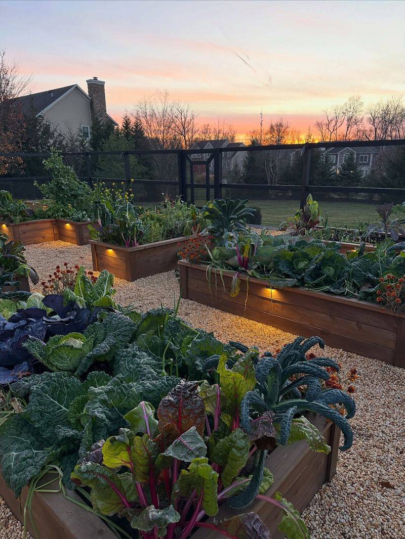 Check Your Regional Vegetable Planting Guide