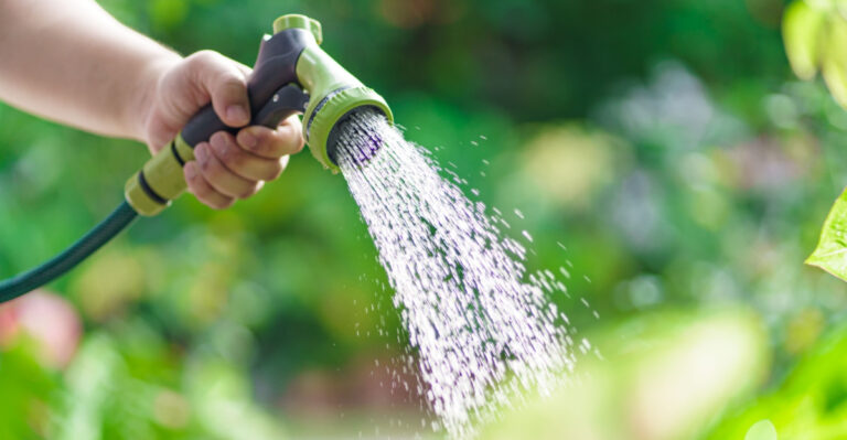 The Spring Watering Mistake That Weakens Florida Plants