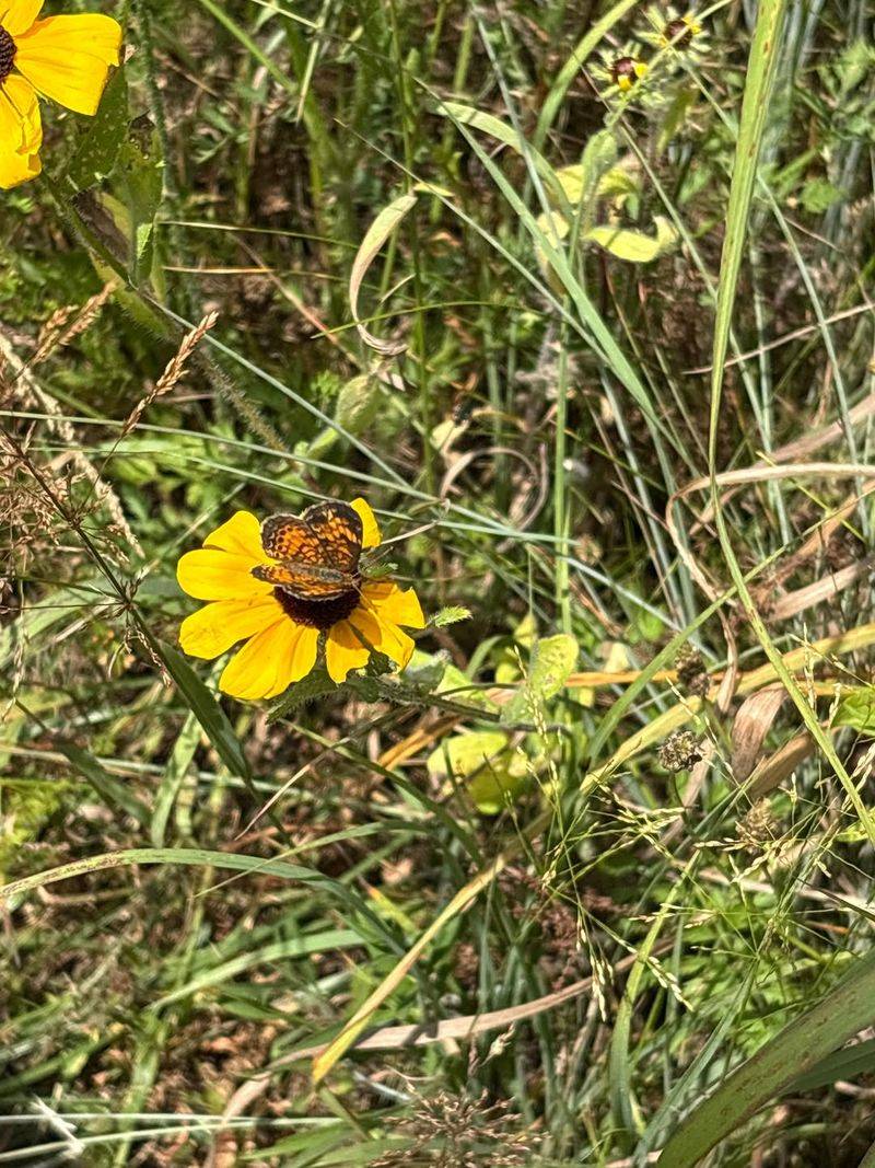Central Lower Michigan And Much Of The West Michigan Interior